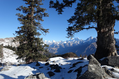 DSC00549a